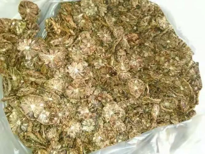 海南诺丽果销售