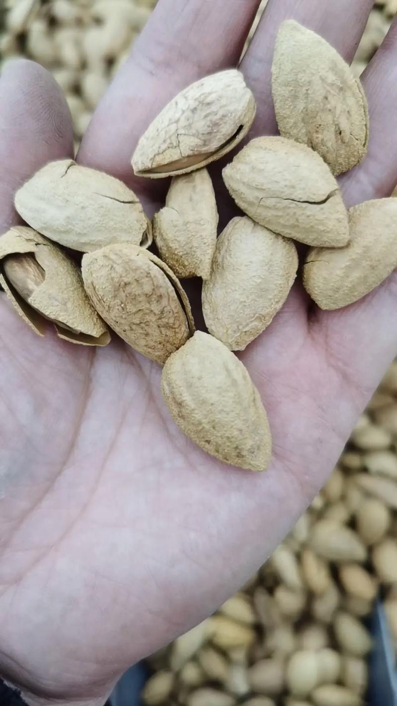 需要干果的找我